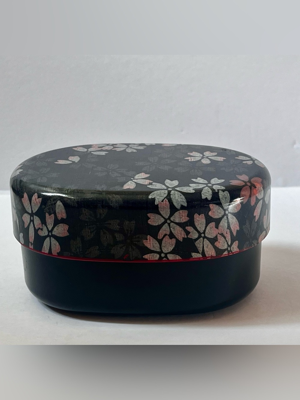 NWT Bento Box